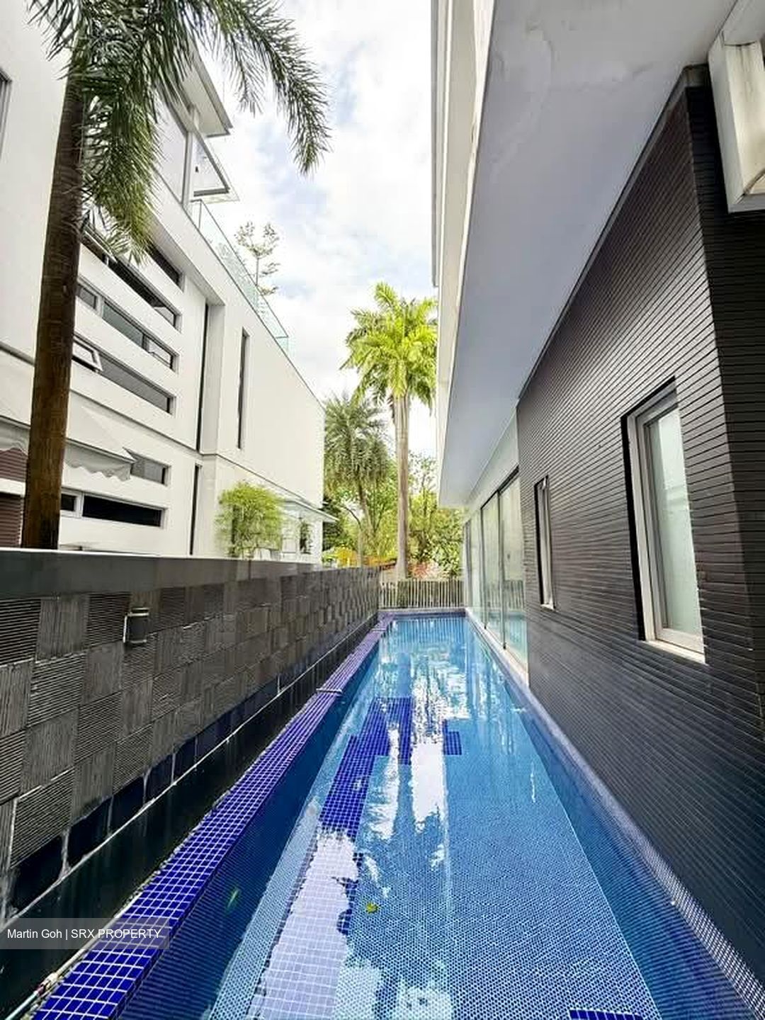 Serangoon Avenue 2 (D19), Detached #578514451